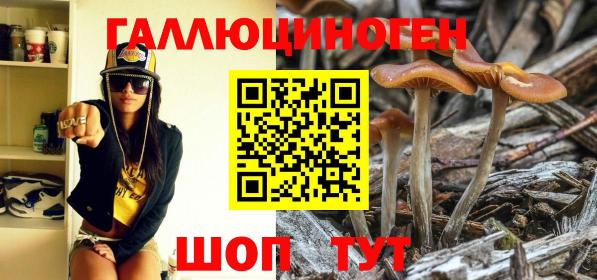 Галлюциногенные грибы мицелий Корсаков