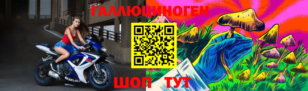 хочу   Псилоцибиновые грибы Psilocybe  Вход с VPN  Корсаков 